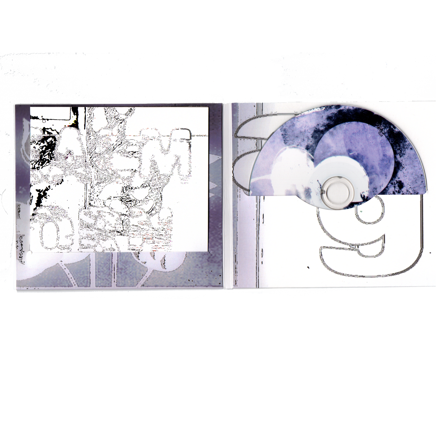 Cd last raven